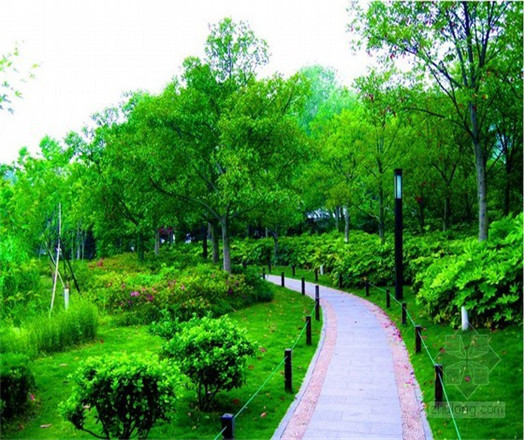 綠化養(yǎng)護(hù)